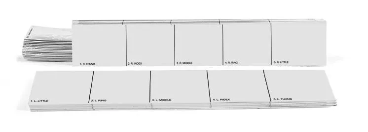 Arrowhead Forensics Replacement Record Strip - Left & Right Hand - 100 each hand