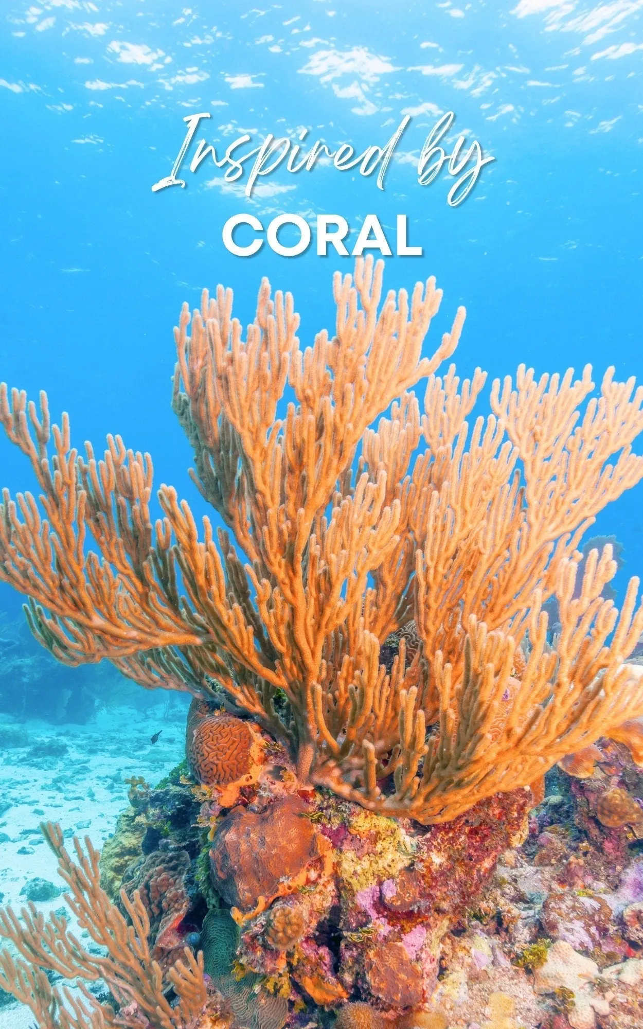Coral Perfume Oil Concentrate Mini Rollie with Gemstones by Sage