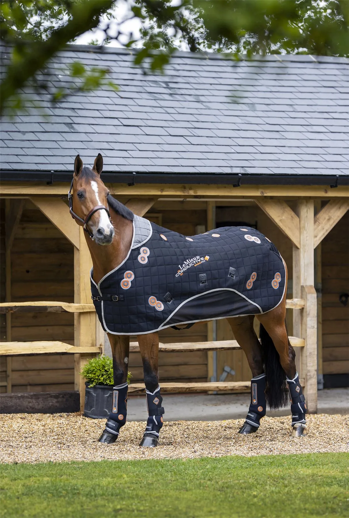 LeMieux Conductive Magno Rug