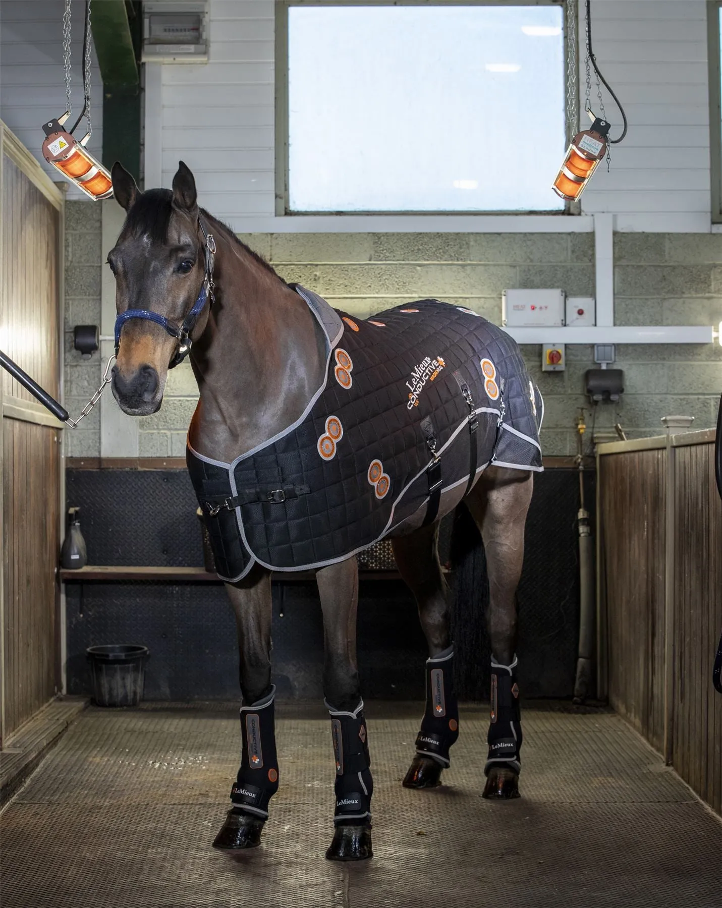 LeMieux Conductive Magno Rug