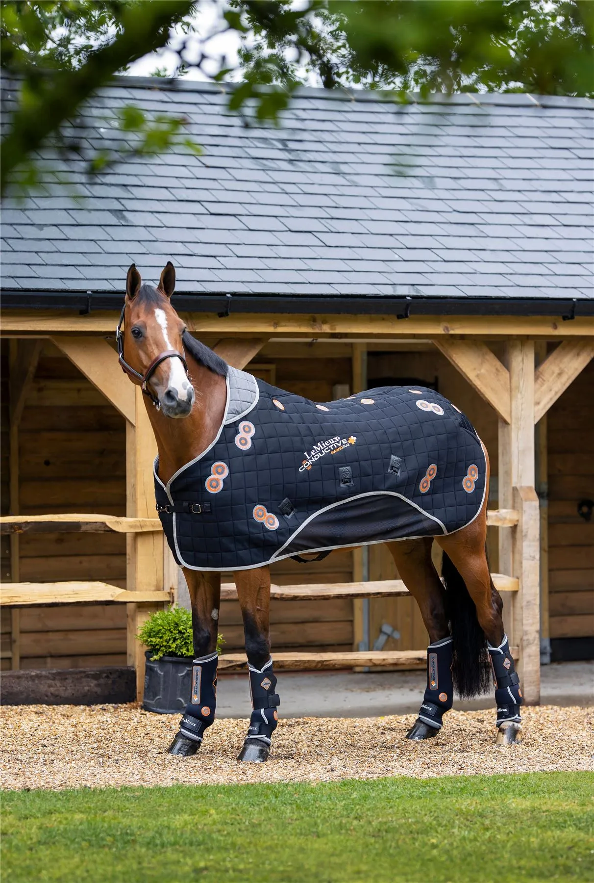 LeMieux Conductive Magno Rug