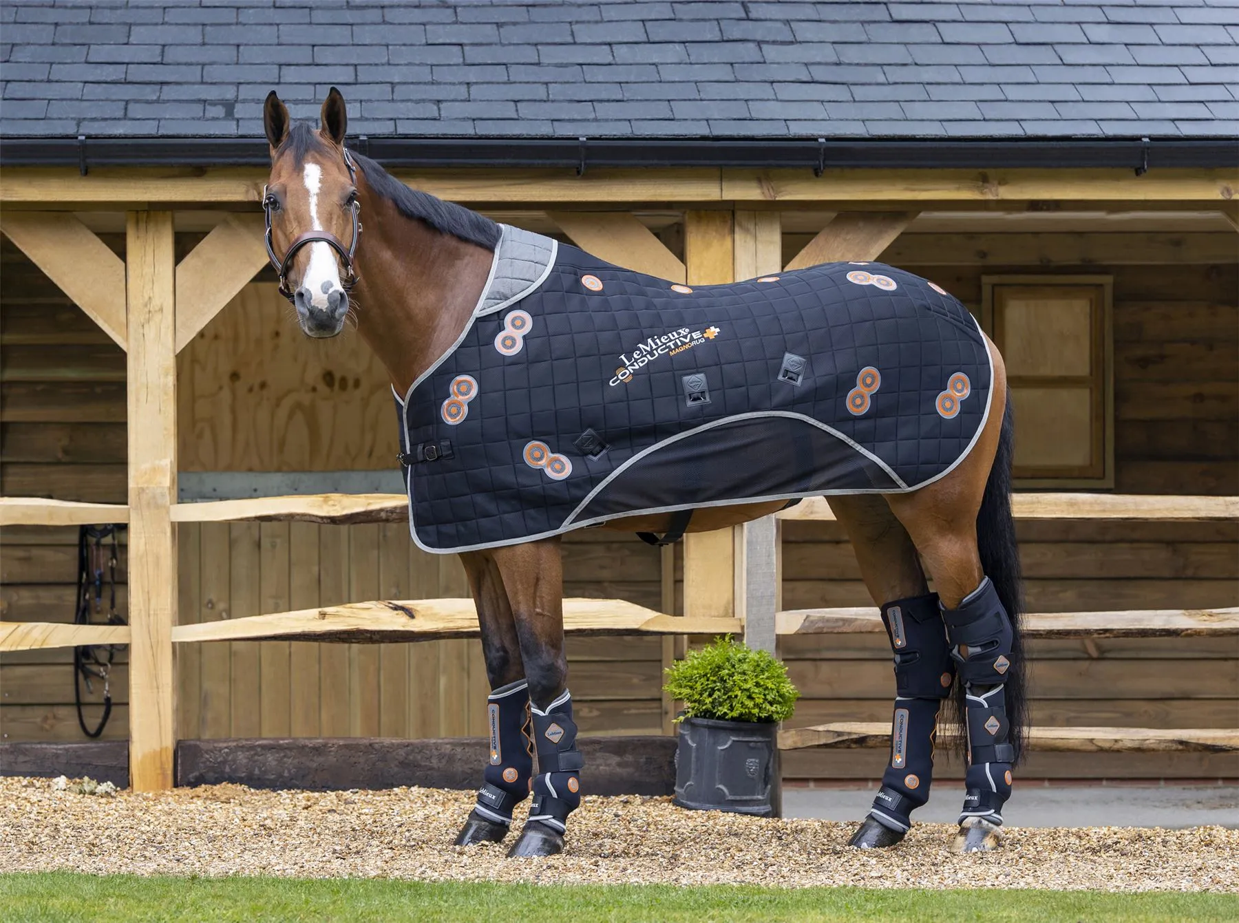 LeMieux Conductive Magno Rug