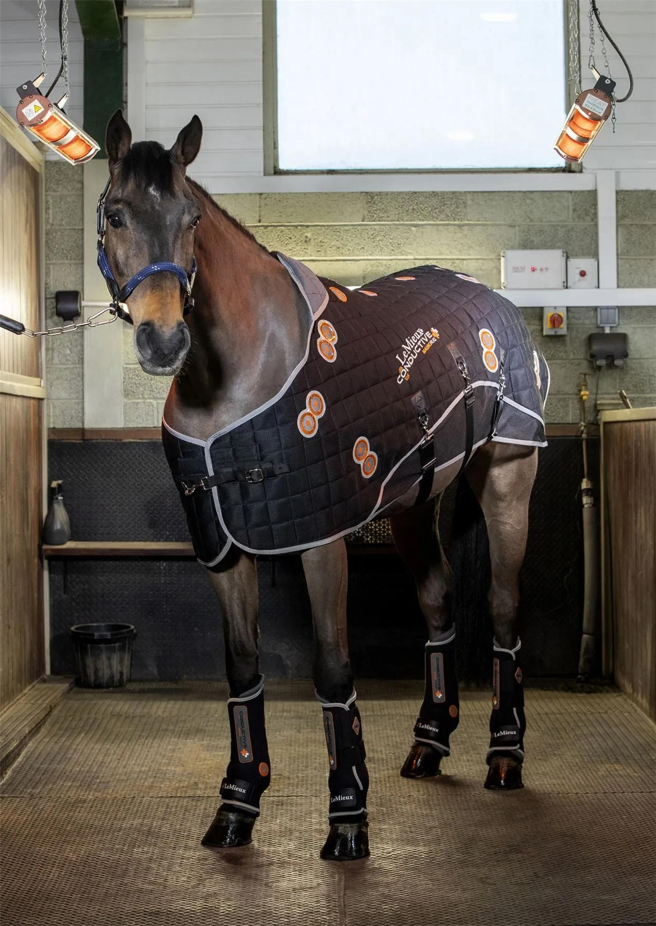 LeMieux Conductive Magno Rug