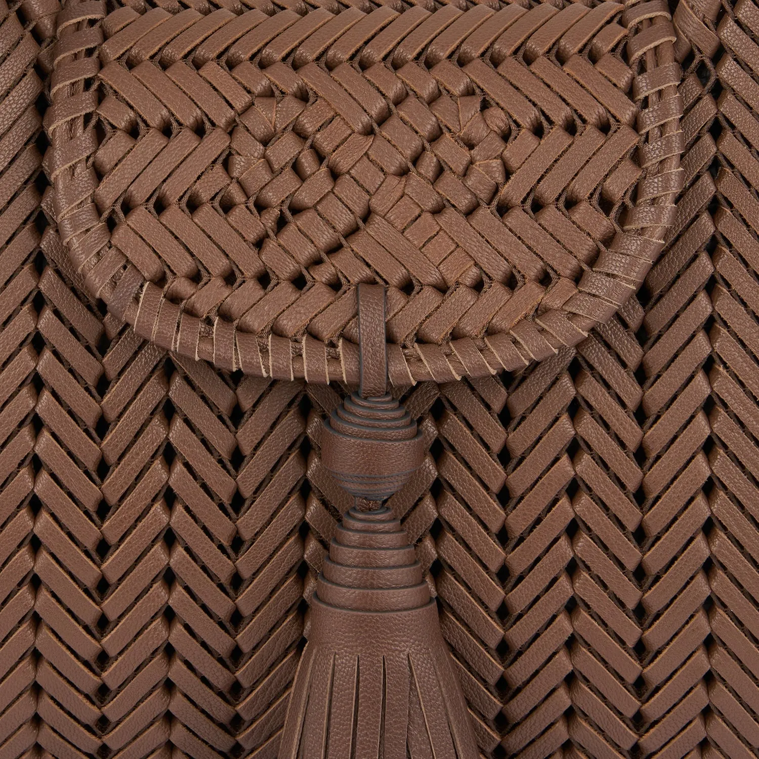 Neeson Tassel Tote