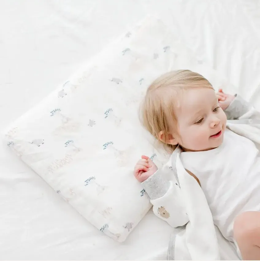 Nest Designs Bamboo Silk Toddler Pillow With Pillowcase--Baby Baobabs