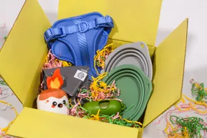 Pet Adventure Kit