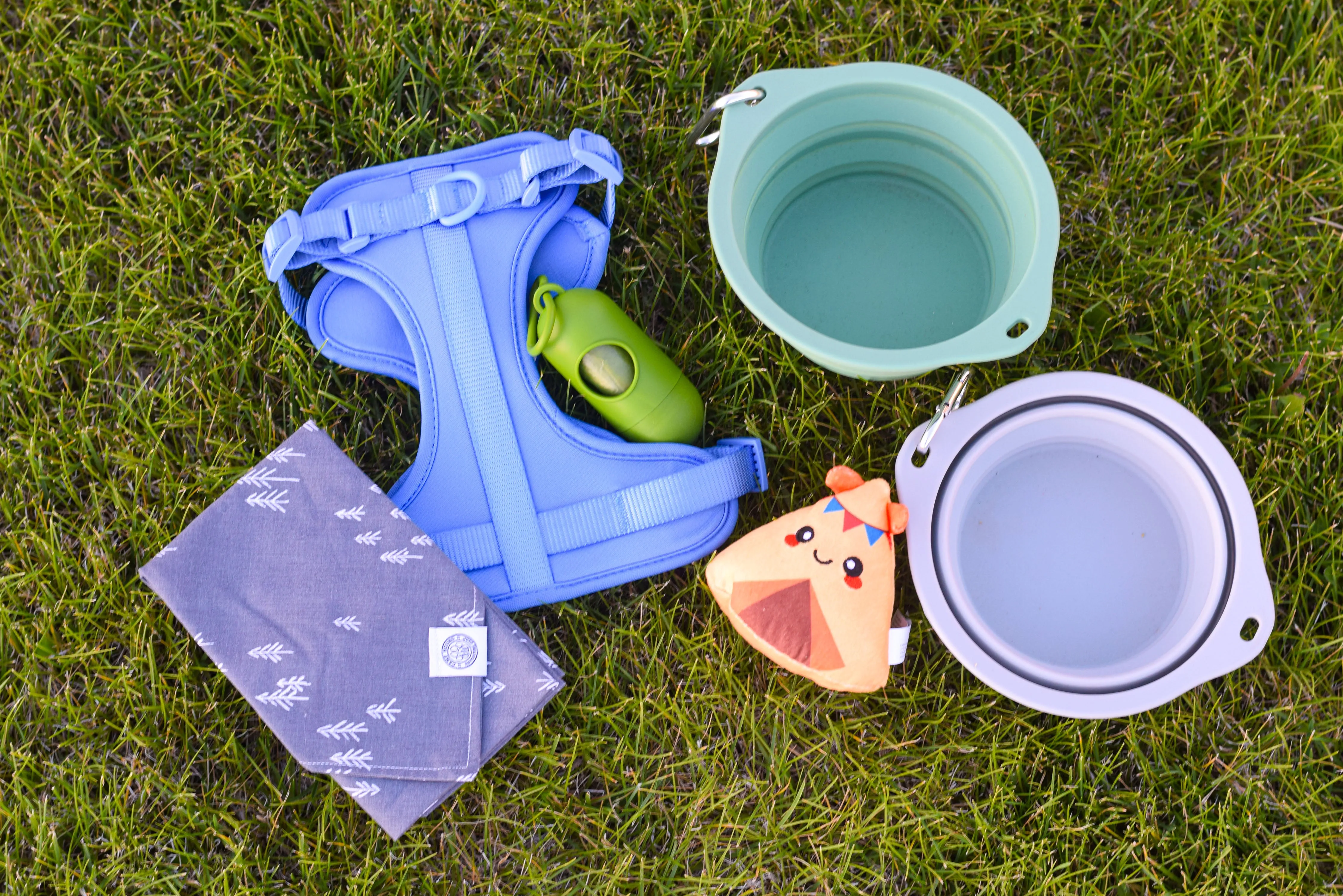 Pet Adventure Kit
