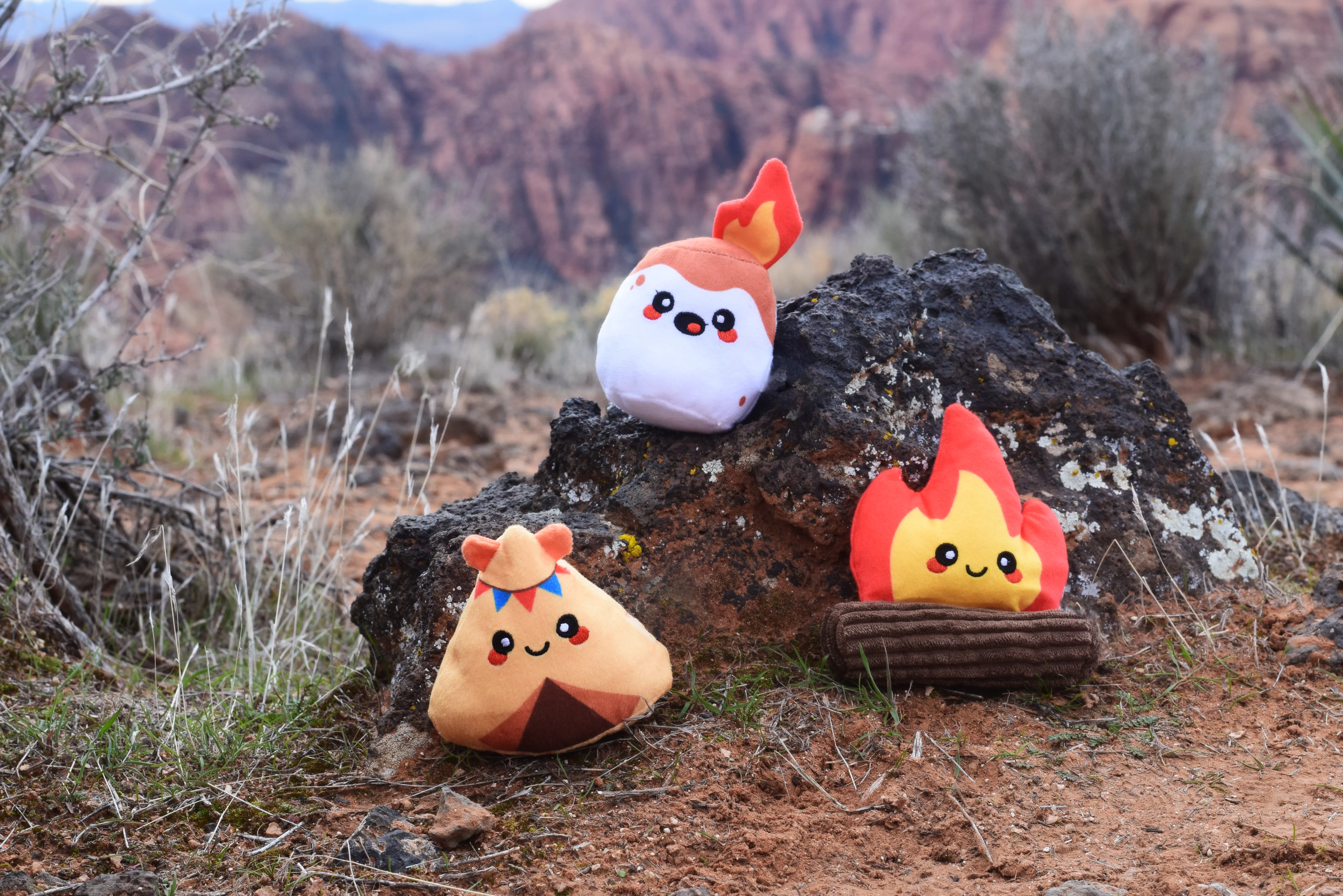 Pet Adventure Kit