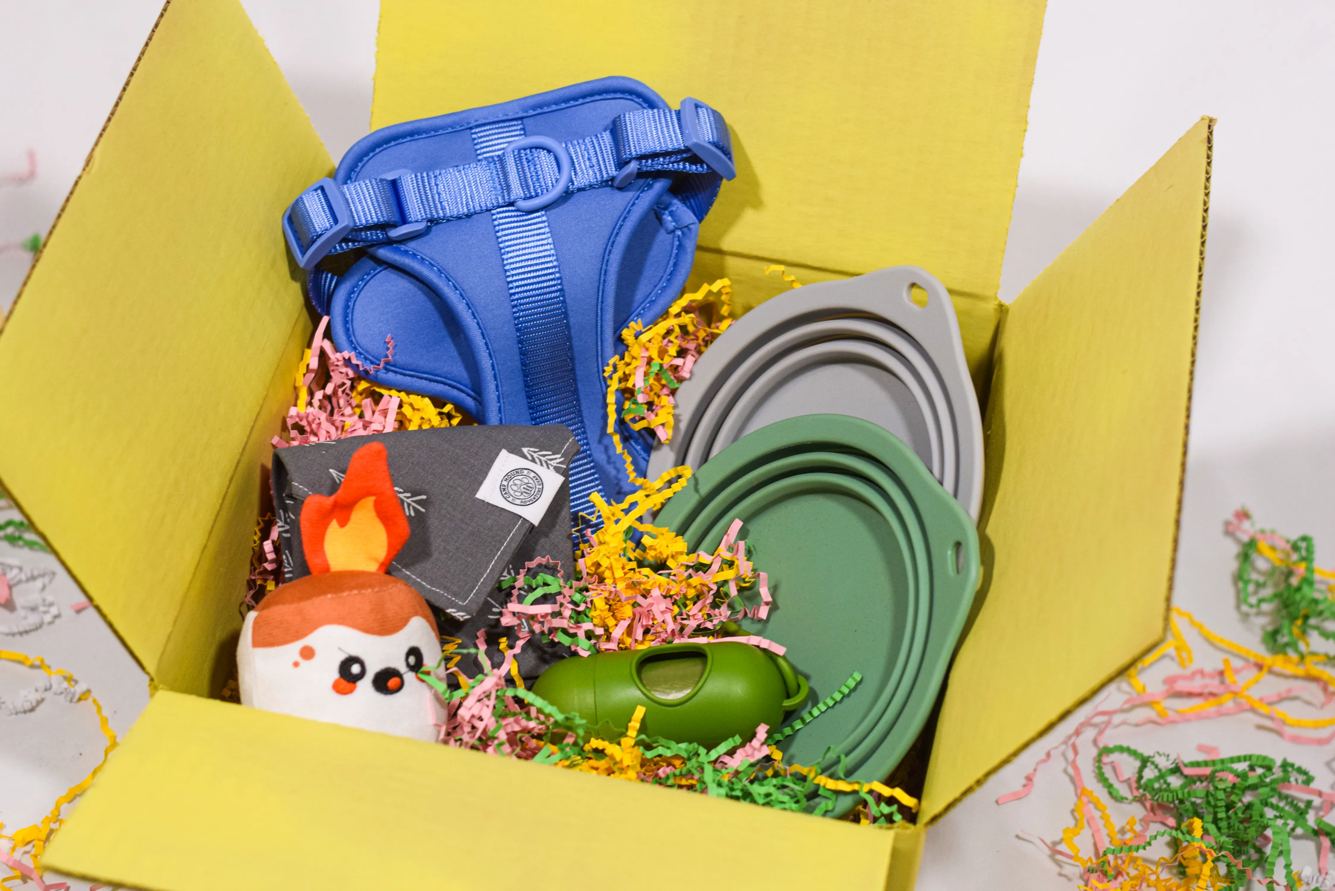 Pet Adventure Kit