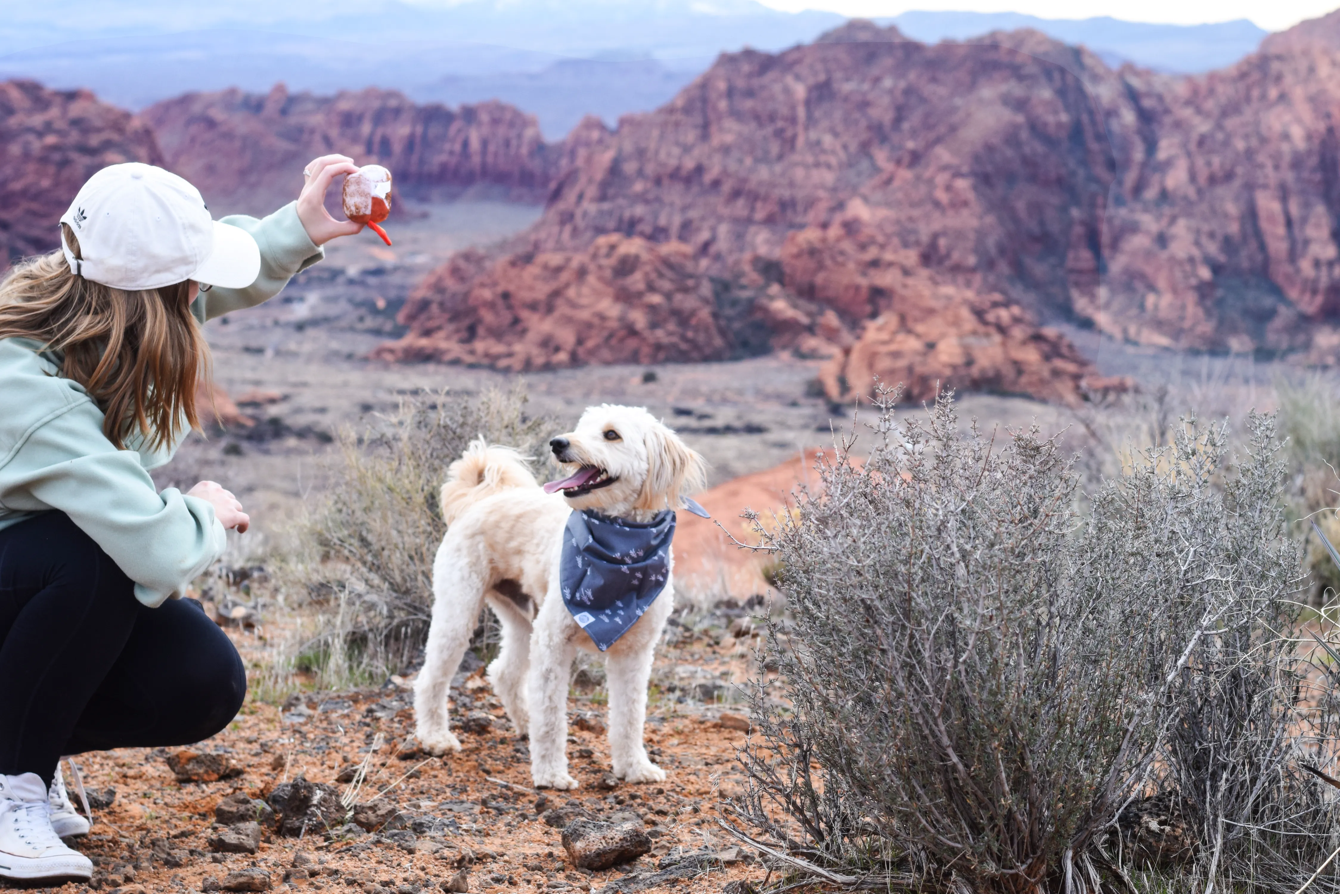 Pet Adventure Kit
