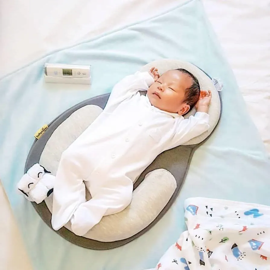 Portable Baby Crib