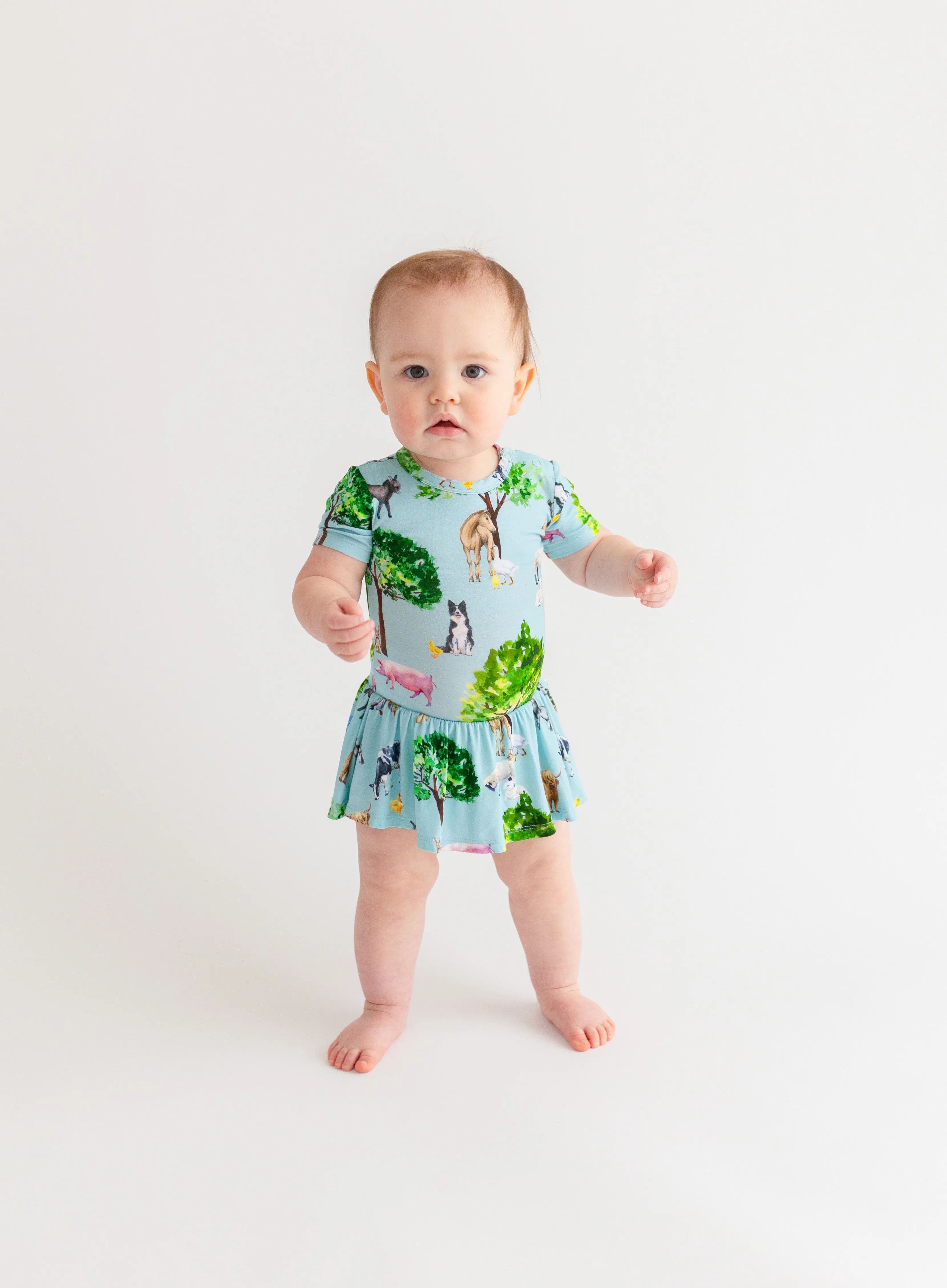 Posh Peanut Short Sleeve Twirl Skirt Bodysuit in Brayden