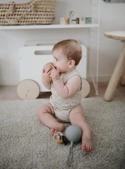 Silicone Pacifier Holder Case