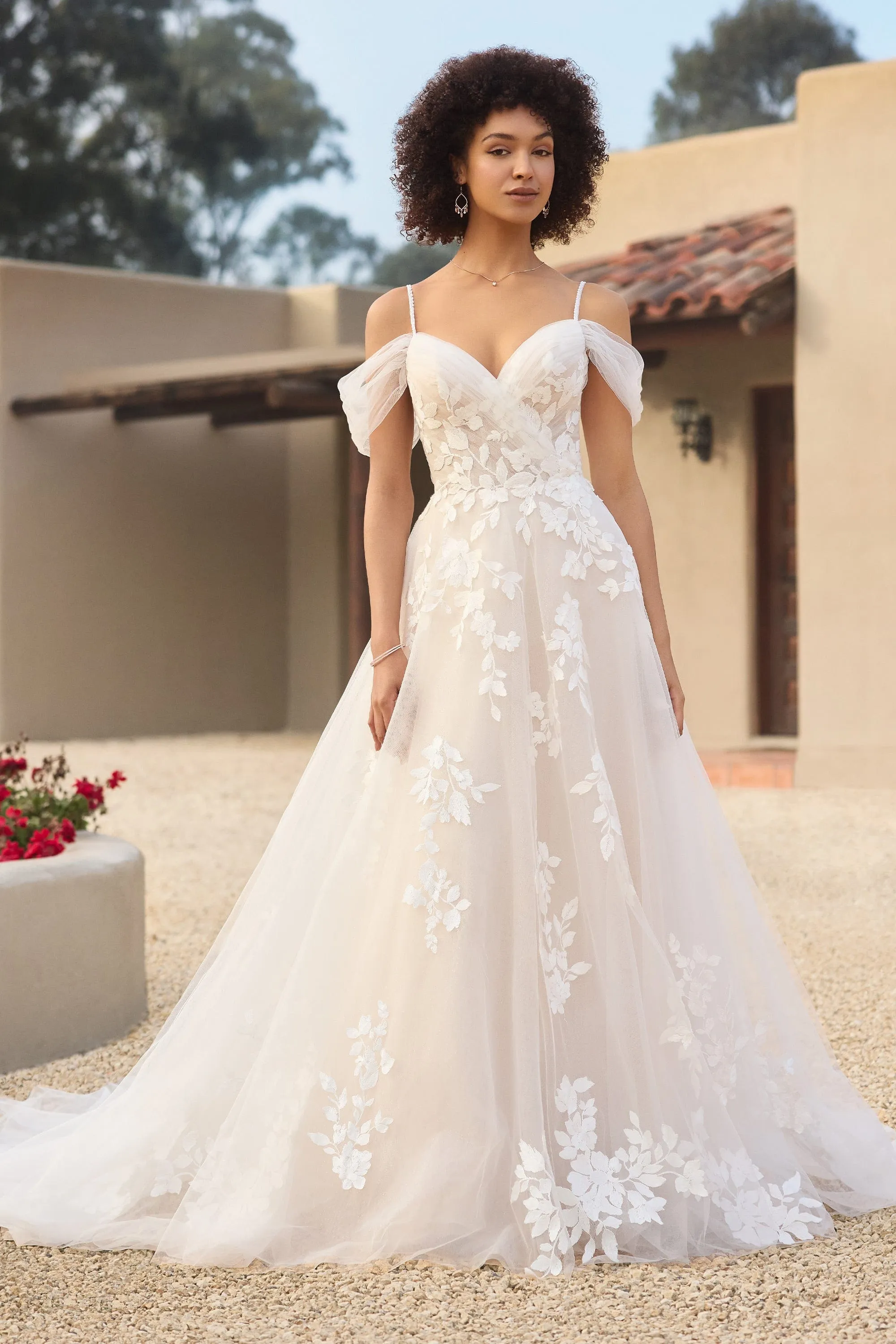 Sophia Tolli: Y3146 - Isla