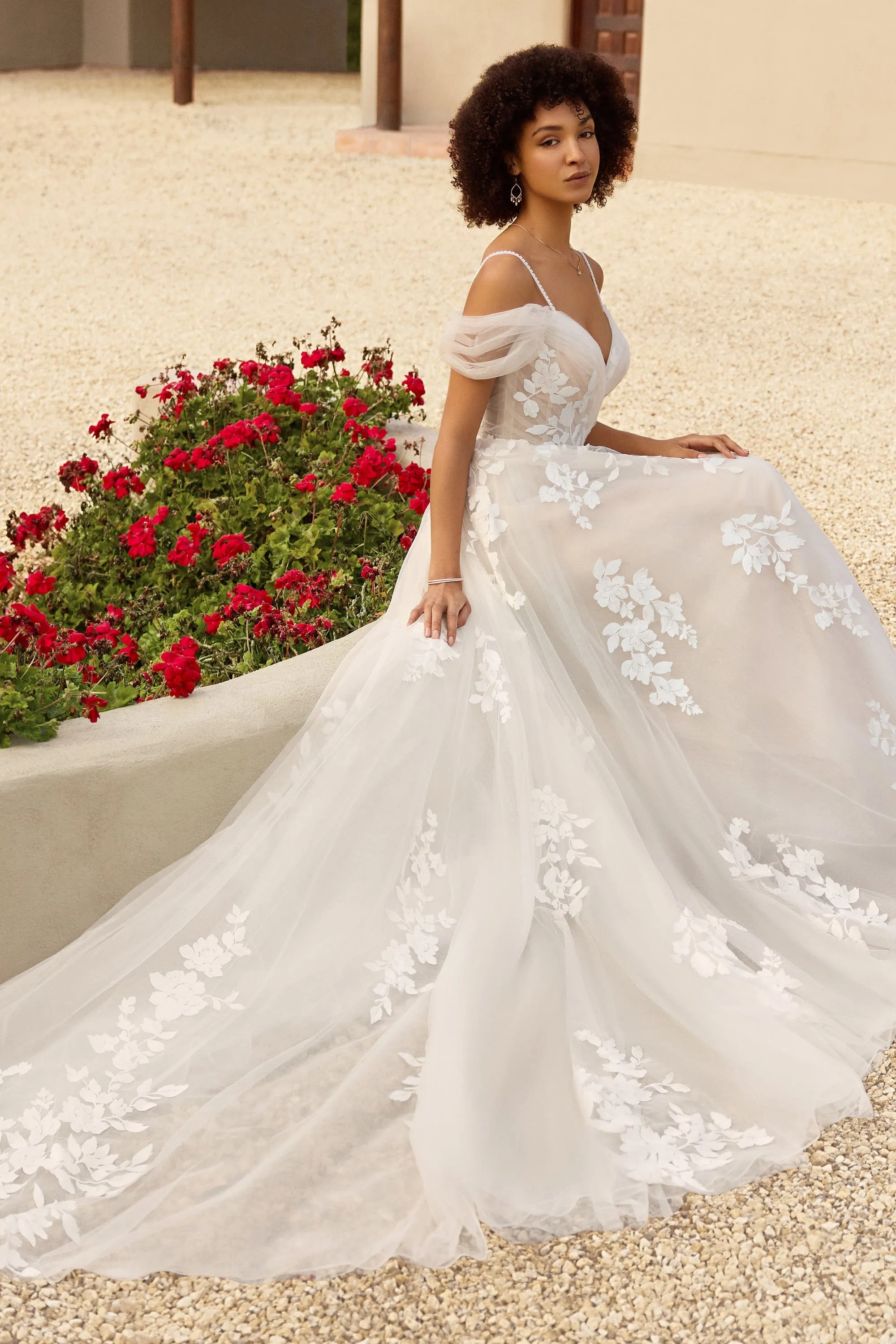 Sophia Tolli: Y3146 - Isla