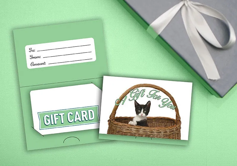 Specialty Gift Card Holders