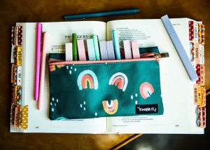 Spring Showers Mini Rainbow Pencil   Pen   Highlighter Pouch