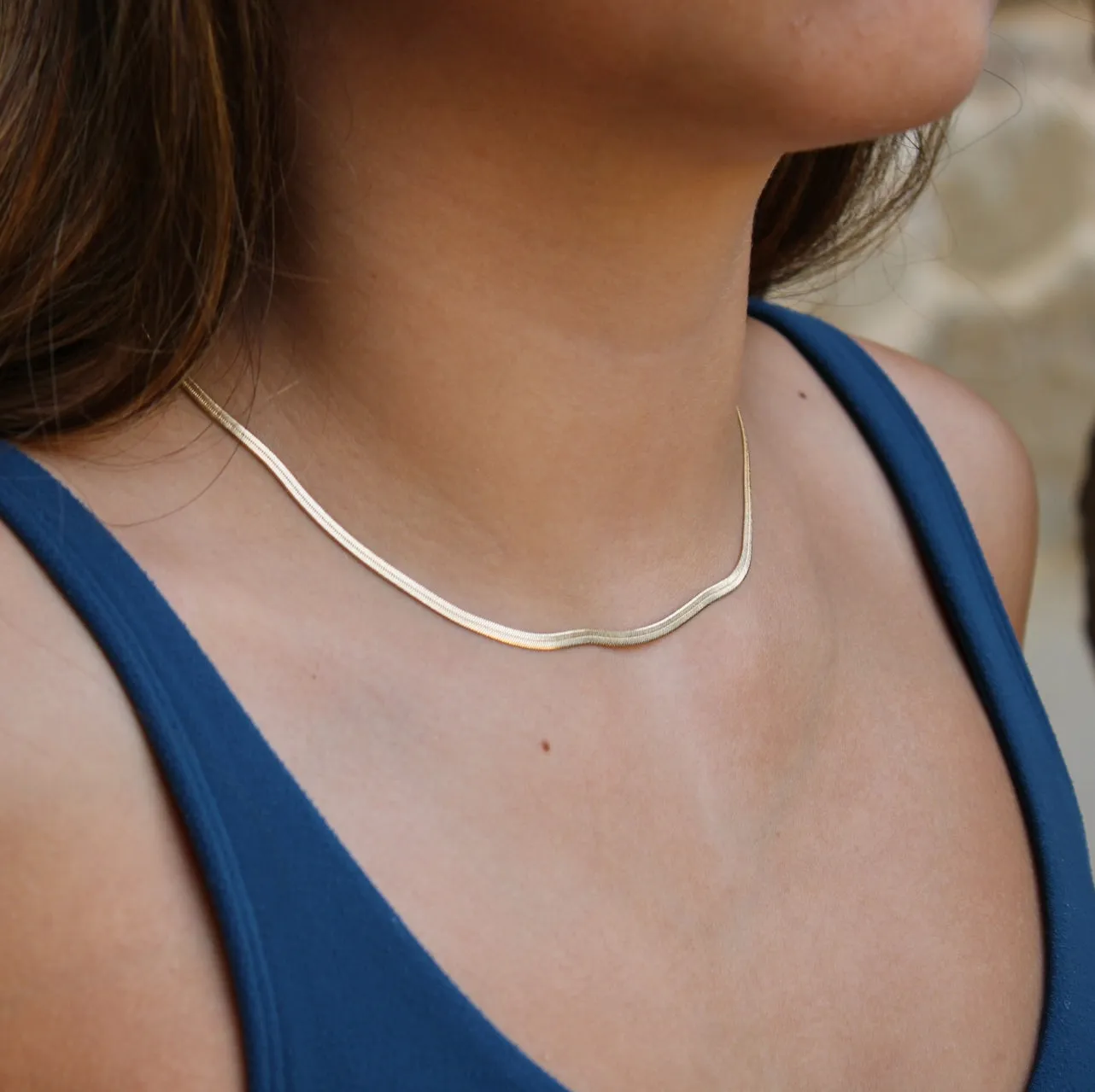 The Snake Chain