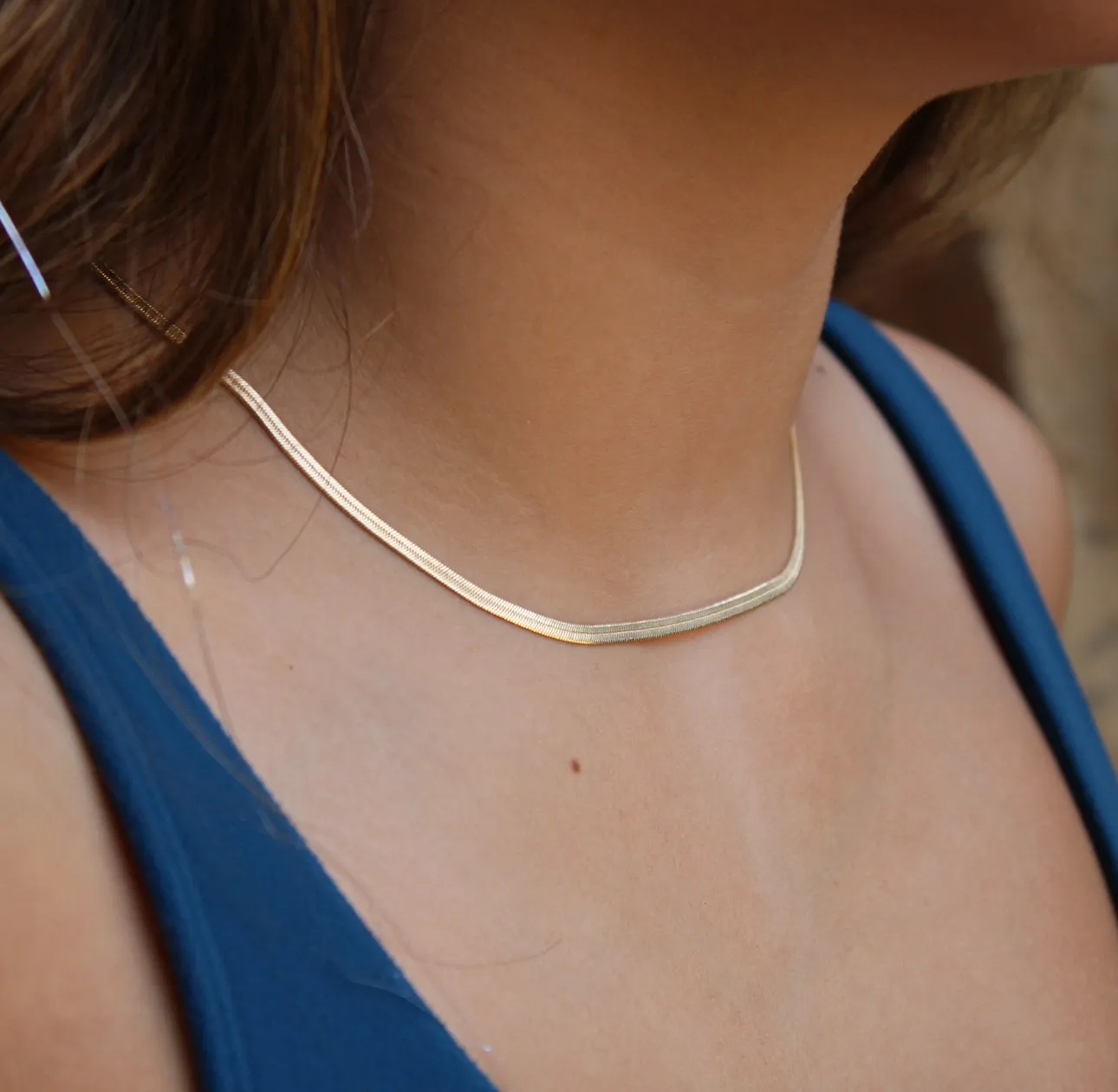 The Snake Chain
