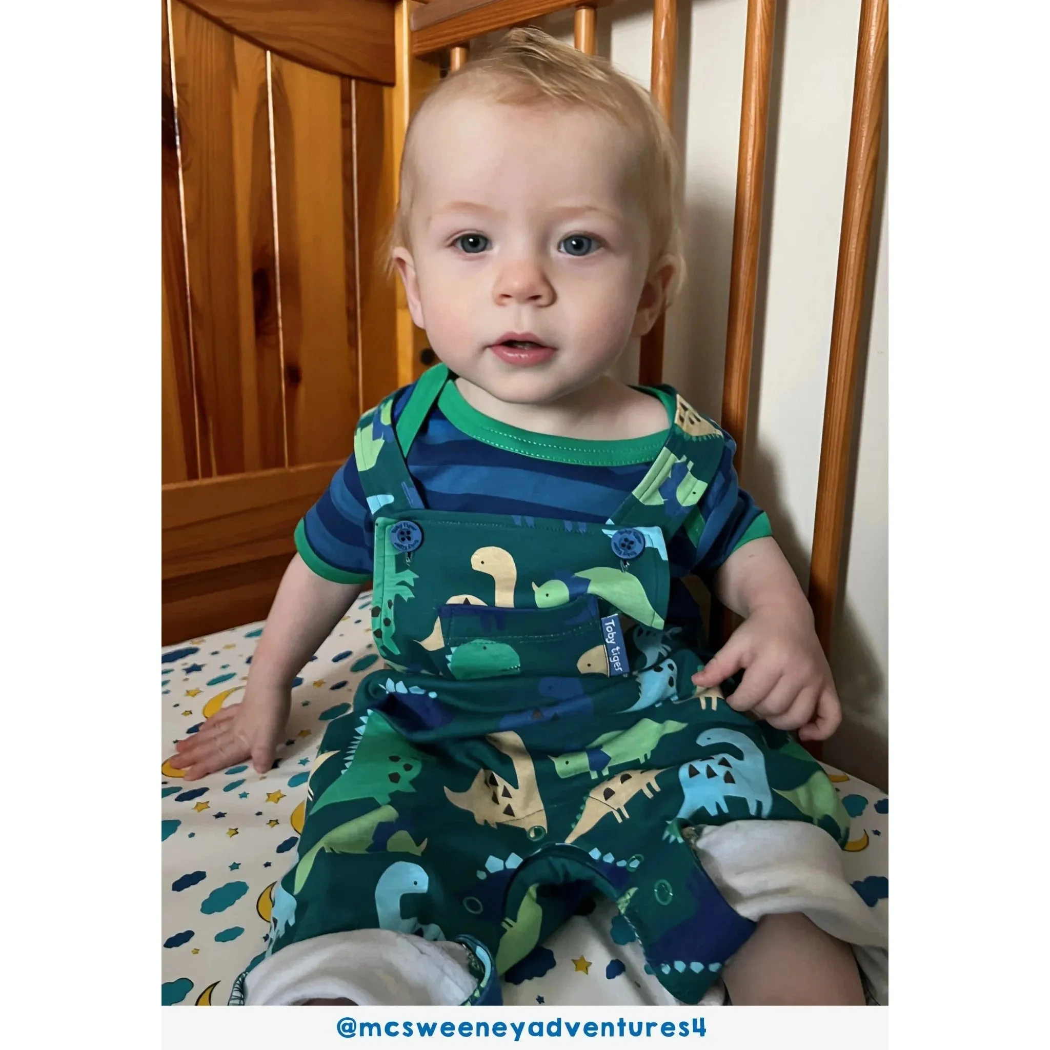 Tonal Dinosaur Print Dungarees