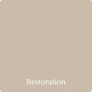 Wise Owl One Hour Enamel - Restoration