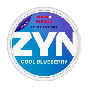 ZYN Cool Blueberry Nicotine Pouches (20pcs/Can)